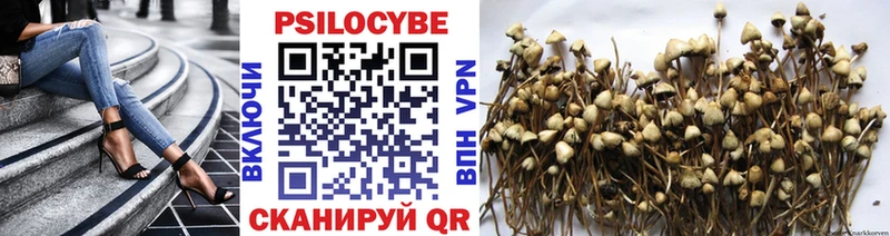 даркнет сайт  Меленки  Галлюциногенные грибы Psilocybine cubensis 